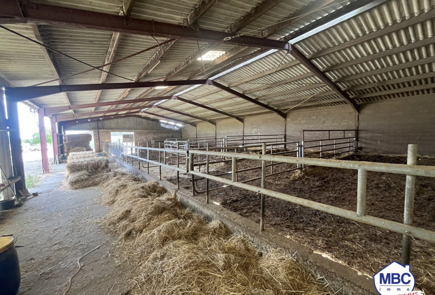 vente Bâtiment Mauges-sur-loire - Photo 3