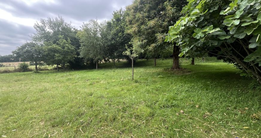 vente Maison Mauges-sur-loire
