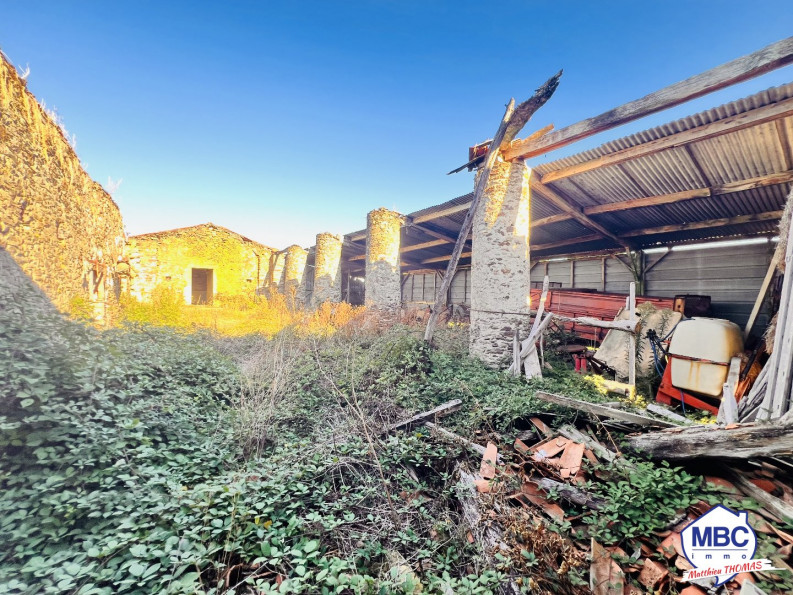 vente Maison de caractère Le Puiset Dore - Photo 8