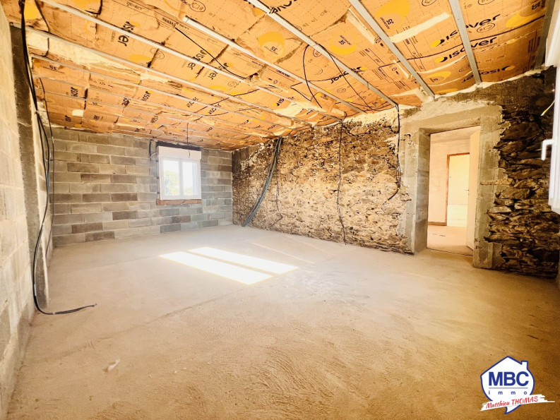 vente Maison de caractère Le Puiset Dore - Photo 6
