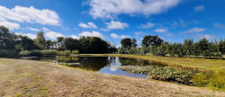 vente Terrain de loisir Montrevault Sur Evre