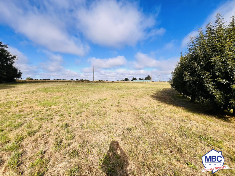 vente Terrain de loisir Montrevault Sur Evre - Photo 6