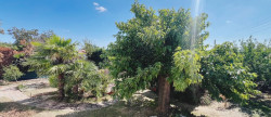 vente Maison La Seguiniere