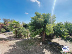 vente Maison La Seguiniere