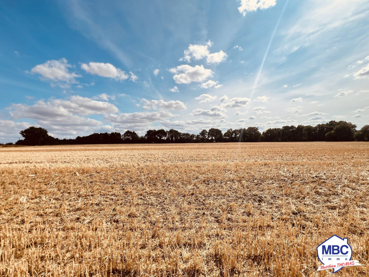 vente Maison de campagne Montrevault Sur Evre - Photo 10