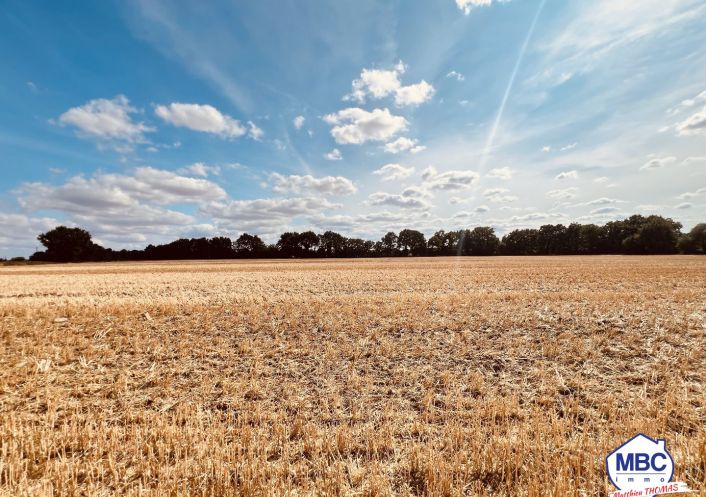 vente Maison de campagne Montrevault Sur Evre