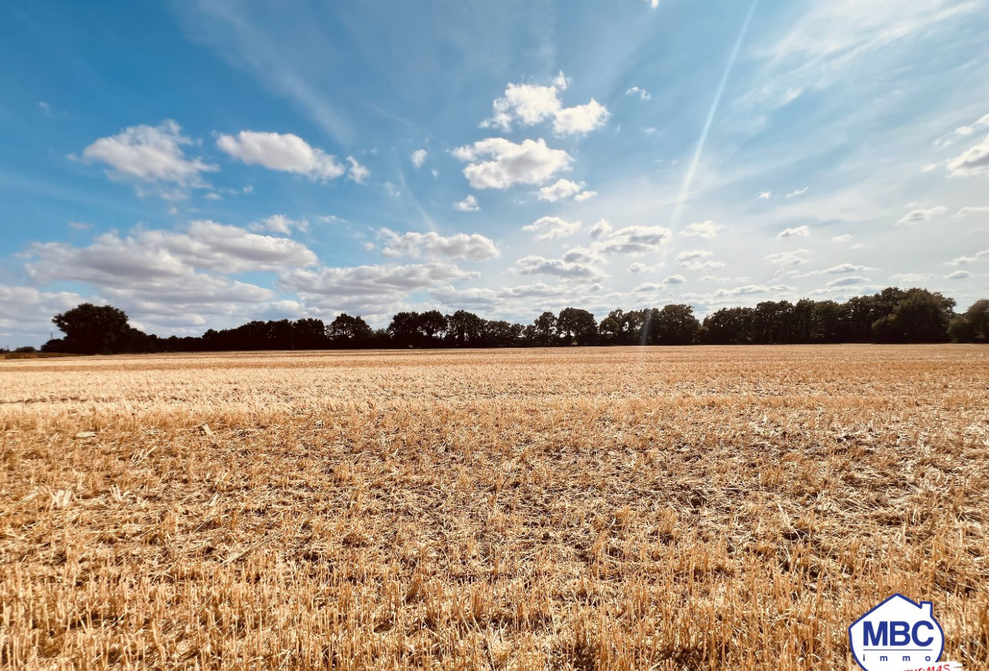 vente Maison de campagne Montrevault Sur Evre - Photo 10