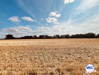 vente Maison de campagne Montrevault Sur Evre