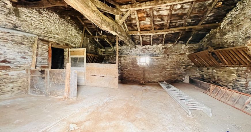 vente Maison Beaupreau En Mauges