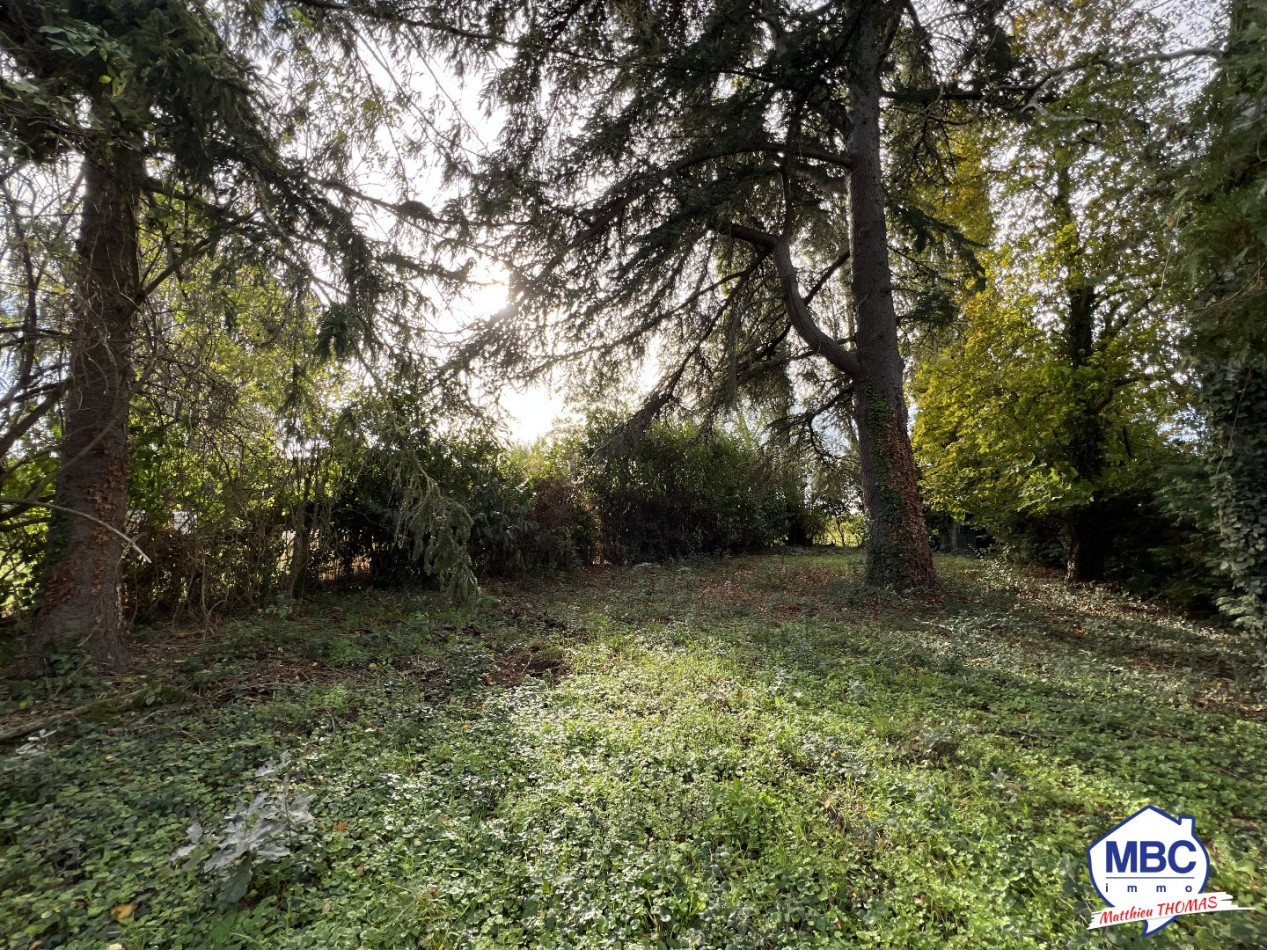 vente Terrain de loisir Oree D'anjou - Photo 4
