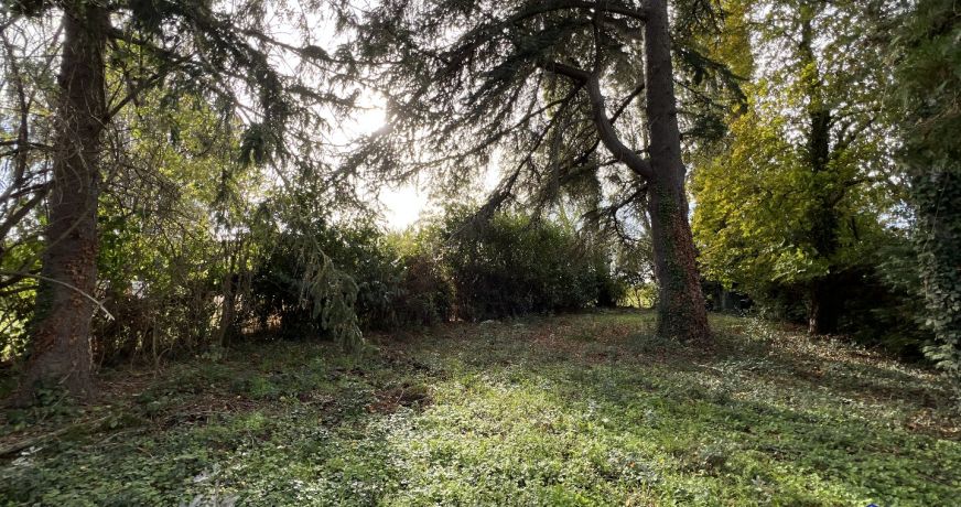 vente Terrain de loisir Oree D'anjou