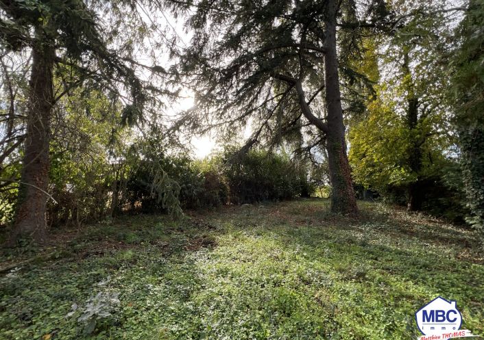 vente Terrain de loisir Oree D'anjou