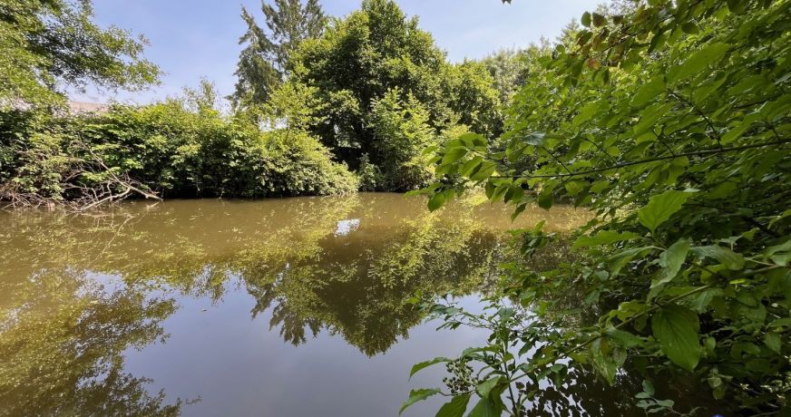 vente Maison La Seguiniere