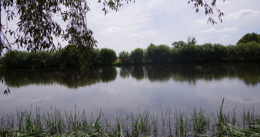 vente Terrain de loisir La Seguiniere