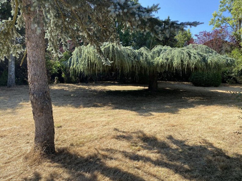 vente Maison Saint Georges Des Gardes - Photo 3