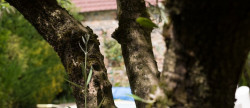 vente Maison Cholet