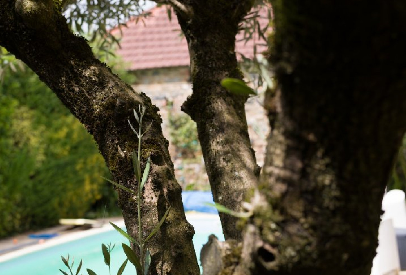 vente Maison Cholet - Photo 6