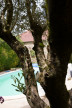 vente Maison Cholet