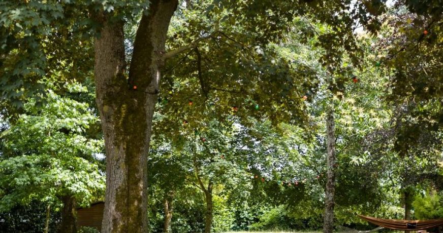 vente Maison Cholet