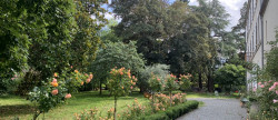 vente Maison Cholet