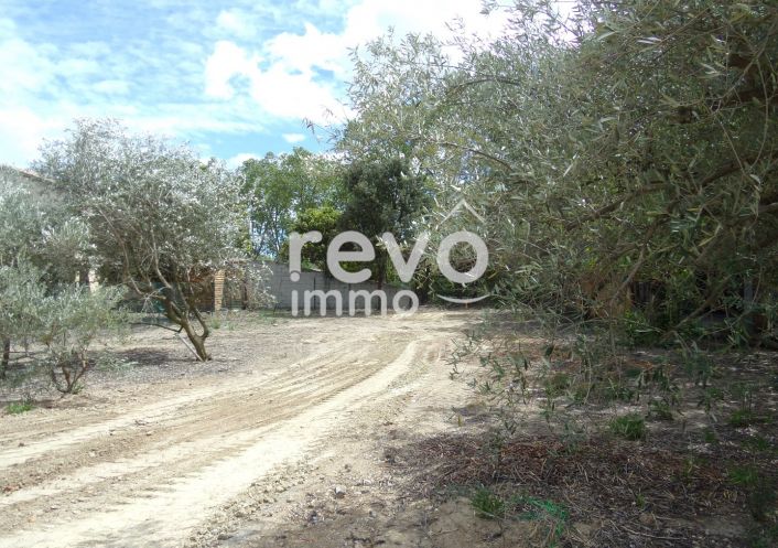 à vendre Terrain constructible Saint Andre De Sangonis