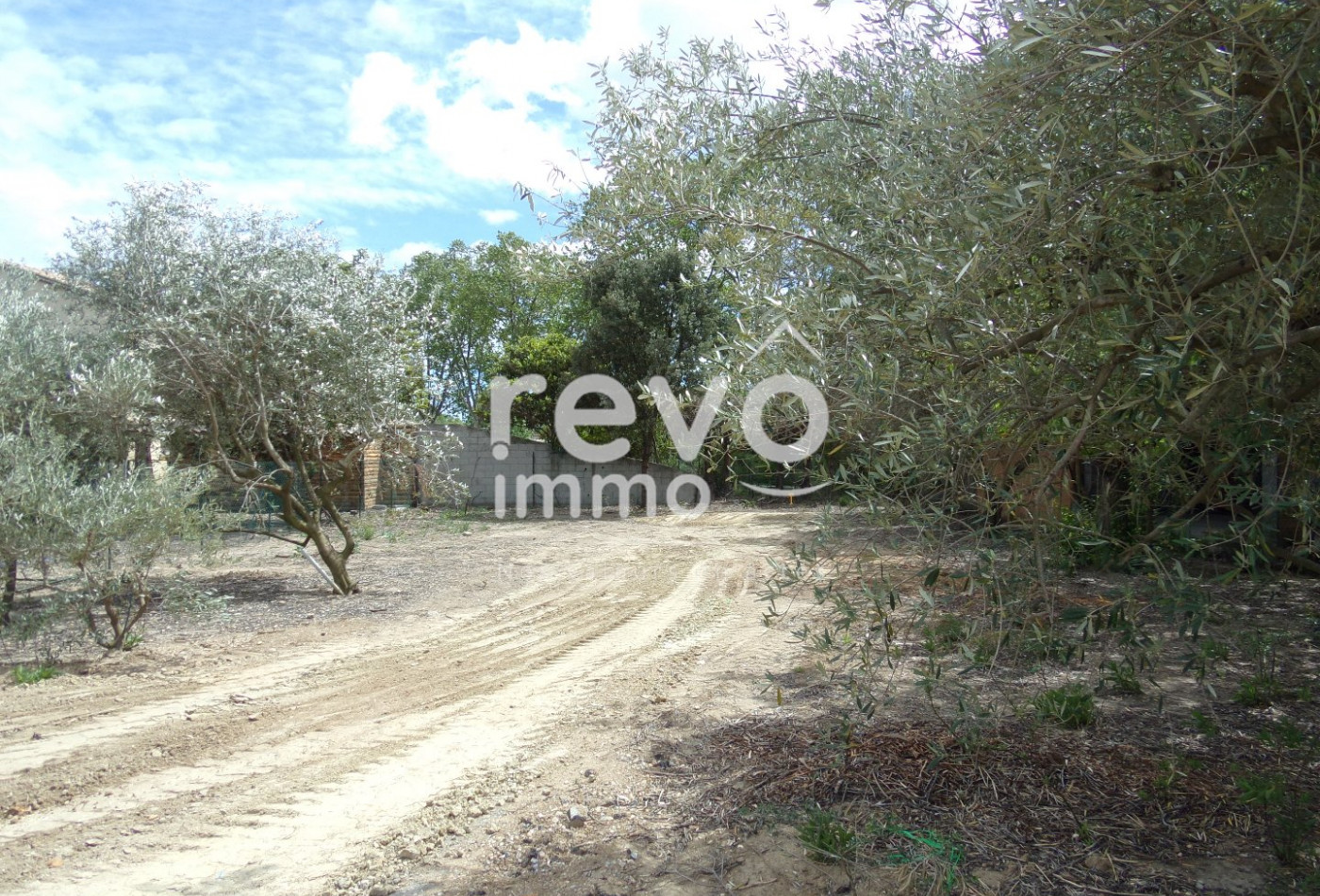 vente Terrain constructible Saint Andre De Sangonis - Photo 2