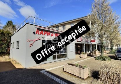 vente Local commercial Mionnay