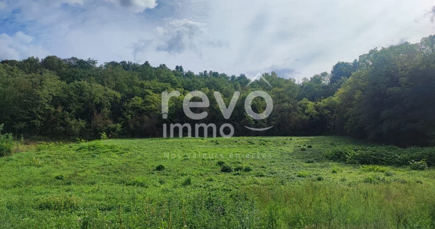 vente Terrain à lotir Fleurieu Sur Saone