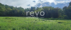 vente Terrain à lotir Fleurieu Sur Saone