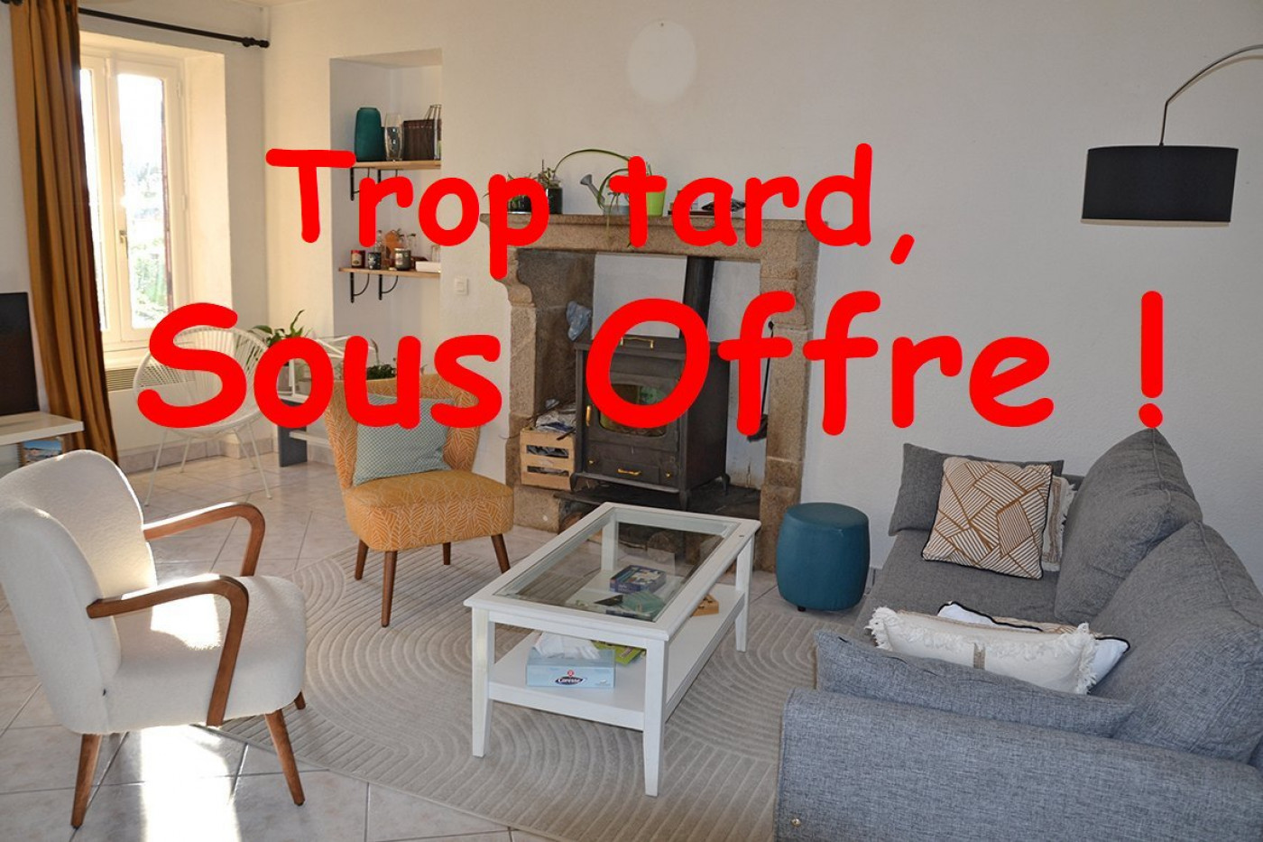 à vendre Maison Mouzillon - Photo 1