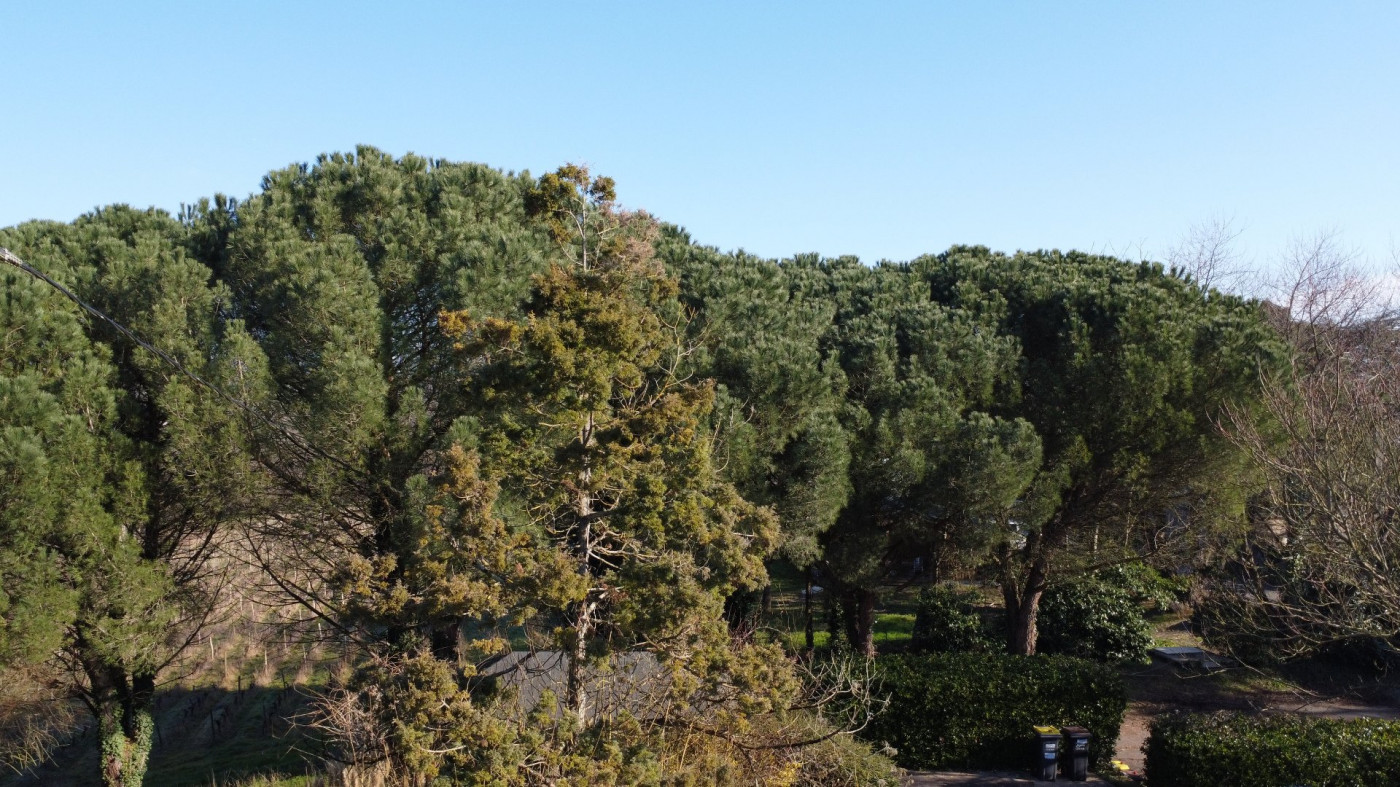 à vendre Maison Rablay Sur Layon - Photo 7