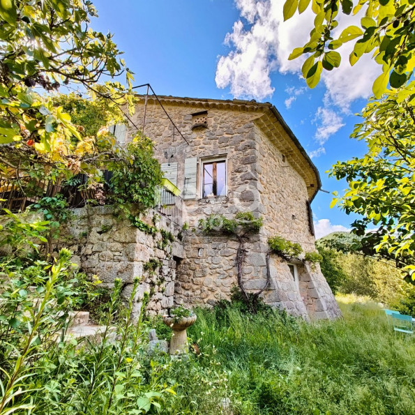 vente Maison Remuzat - Photo 1