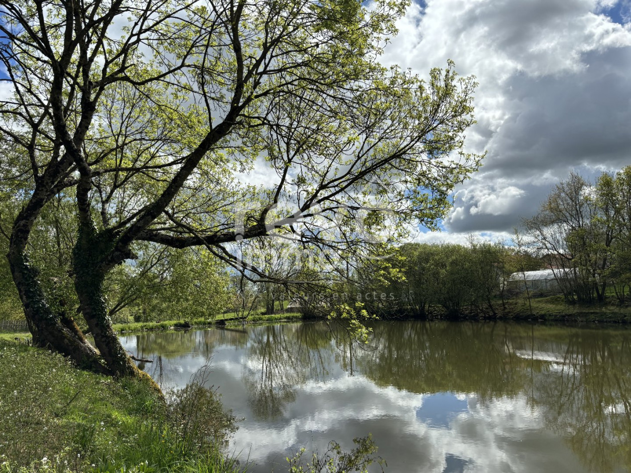 à vendre Etang Cerizay - Photo 7
