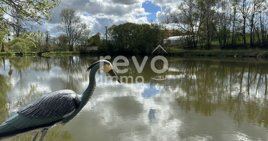 vente Etang Cerizay