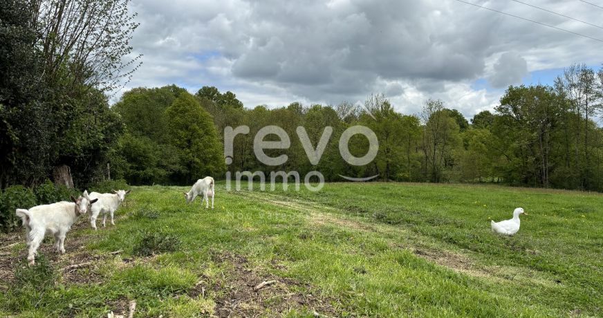 vente Etang Cerizay