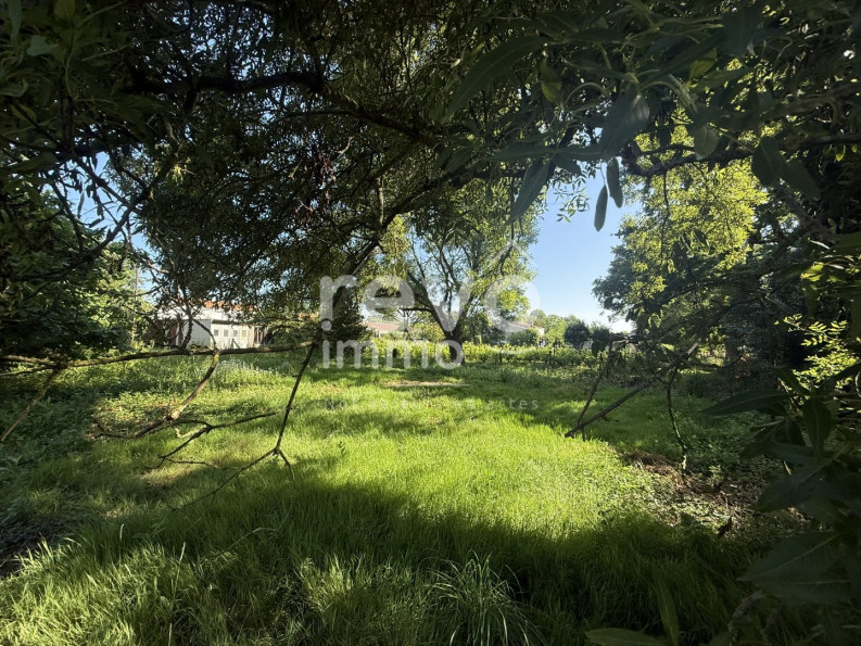 vente Terrain constructible L'herbergement - Photo 6