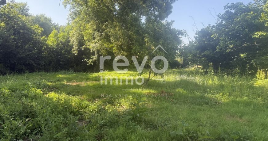 vente Terrain constructible L'herbergement