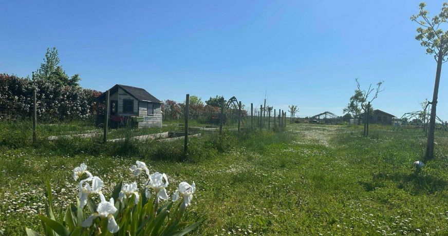 vente Maison Saint Lambert Du Lattay