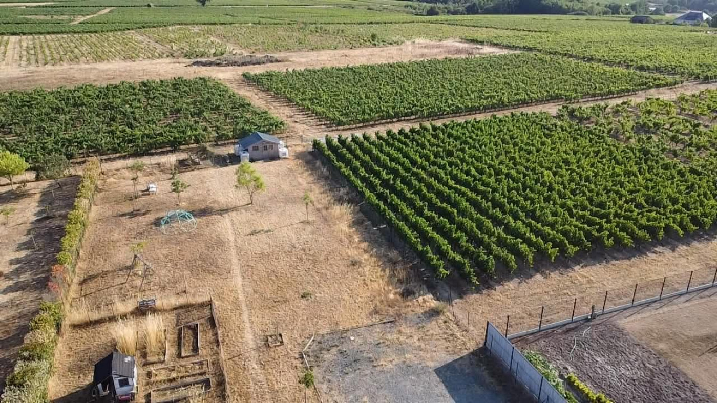 à vendre Maison Saint Lambert Du Lattay - Photo 2