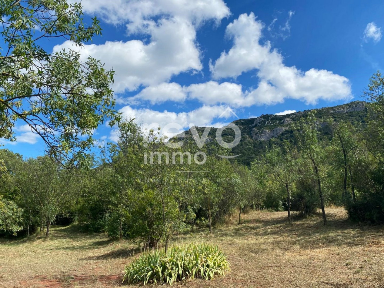 à vendre Maison vigneronne Liausson - Photo 6