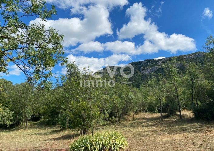 à vendre Maison vigneronne Liausson