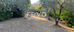 vente Propiac