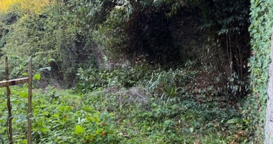 vente Grange L'herbergement