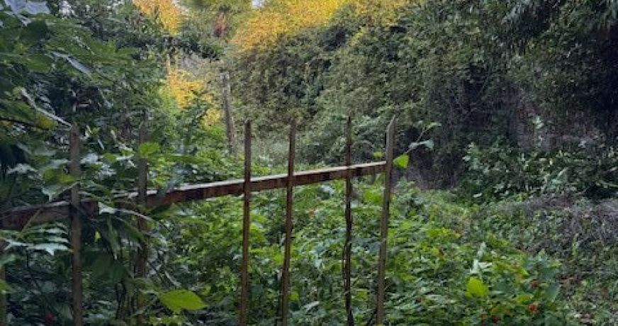 vente Grange L'herbergement