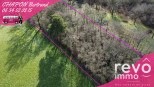 vente Terrain non constructible Vauchretien