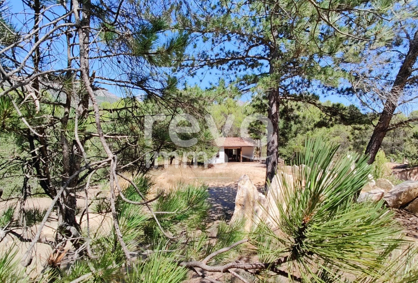 vente Maison Beauvoisin - Photo 7