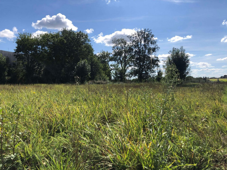 vente Maison en pierre La Tourlandry - Photo 9