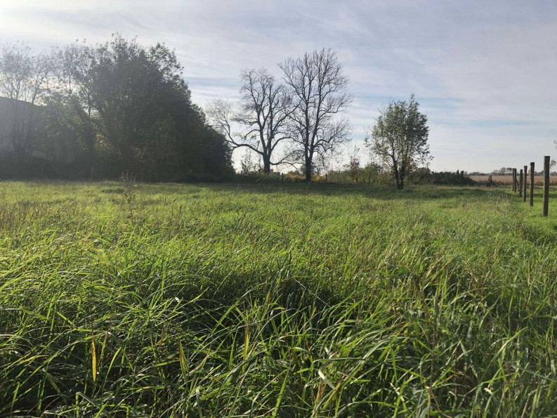 vente Maison en pierre La Tourlandry - Photo 8