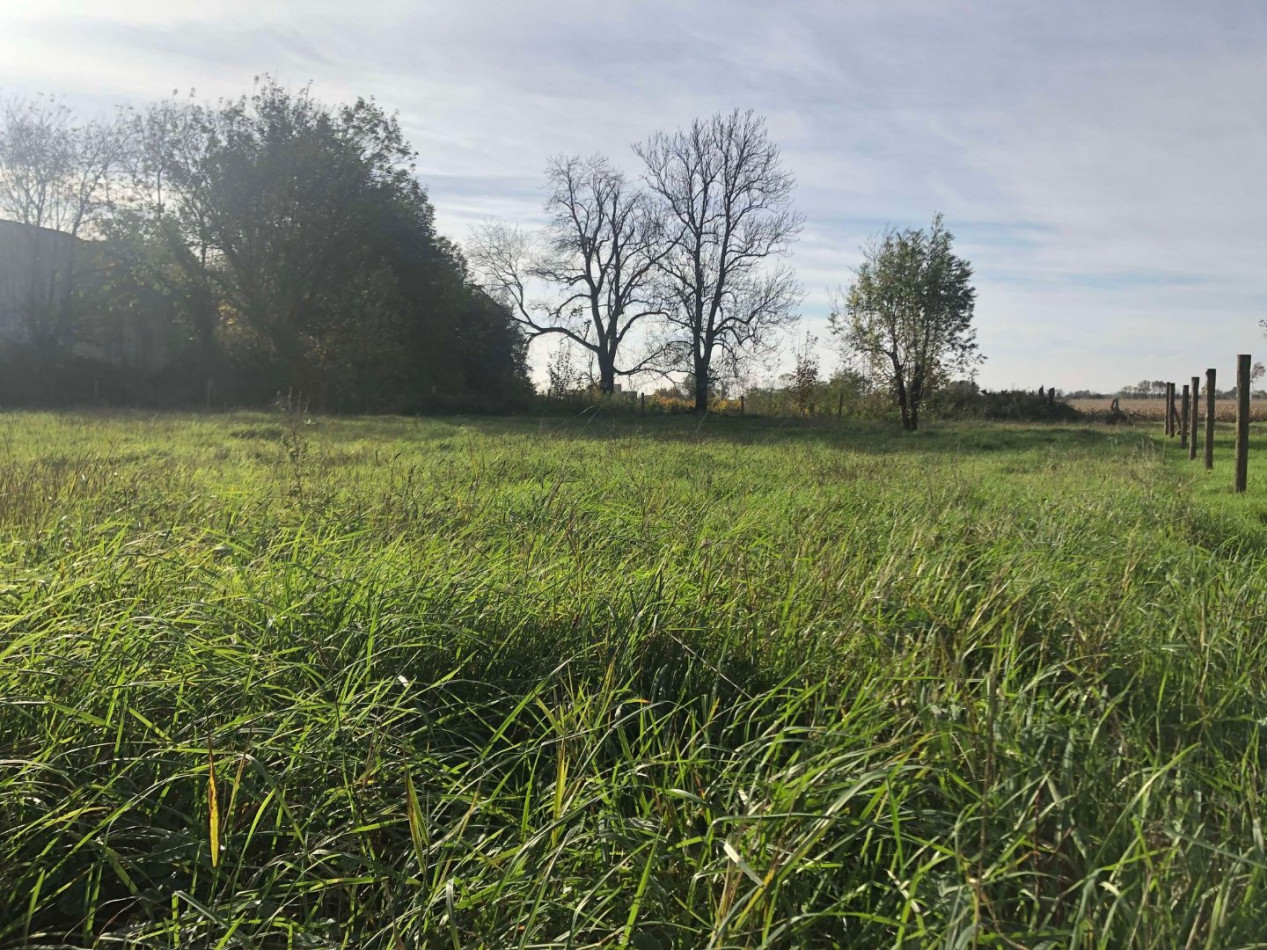 à vendre Maison en pierre La Tourlandry - Photo 9