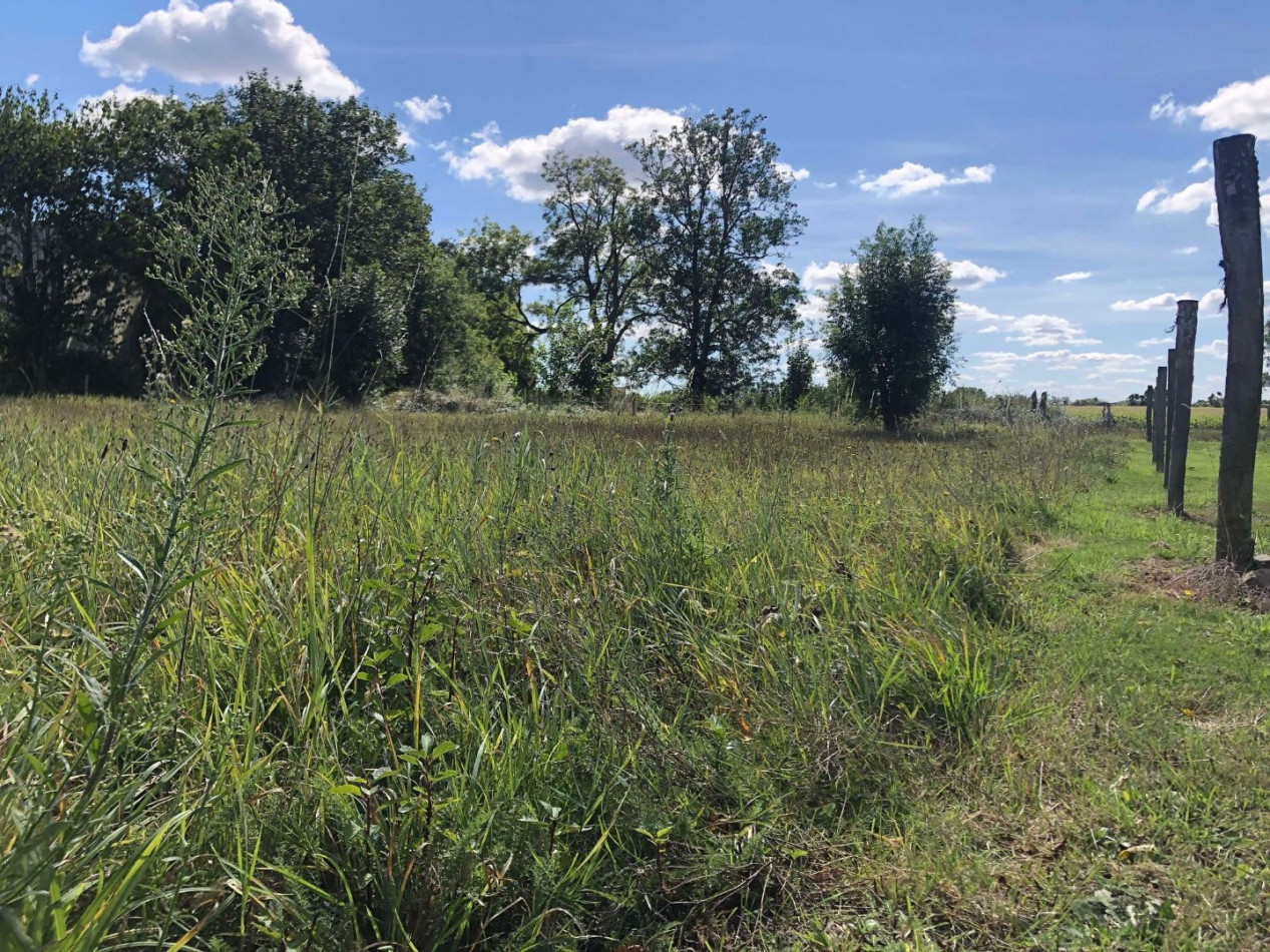 à vendre Maison en pierre La Tourlandry - Photo 10